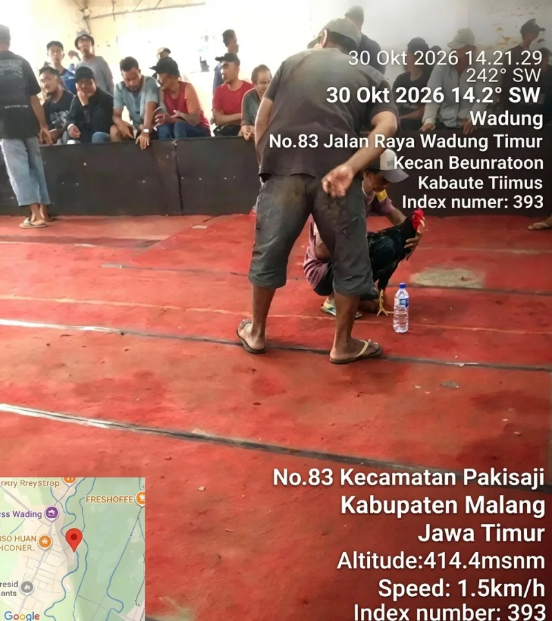 Judi Sabung Ayam di Wadung Malang Merajalela, "SDM Komitmen Pemberantasan di Polres Malang Dipertayakan"???