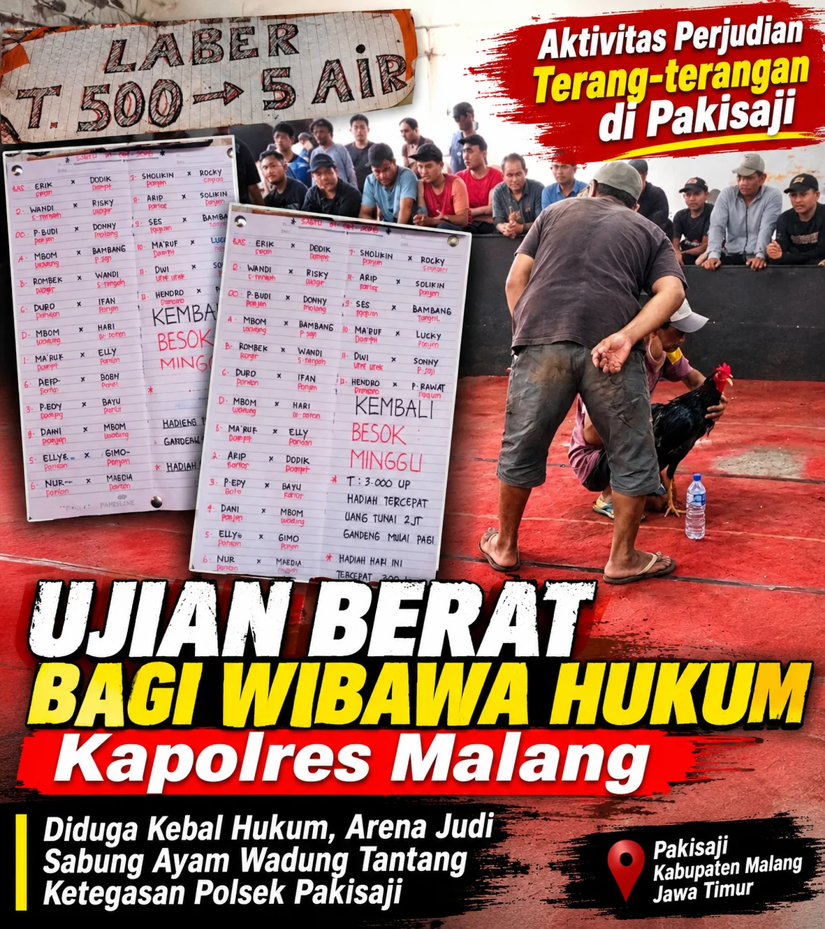 Menantang Pasal 303 KUHP!!!, Judi Sabung Ayam Skala Besar di Pakisaji Malang Kembali Melenggang Bebas, "Ke Mana Kapolres"???