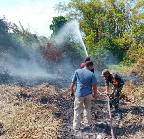 Babinsa Gerak Cepat Padamkan Kebakaran Lahan, Cegah Api Merambat ke Permukiman